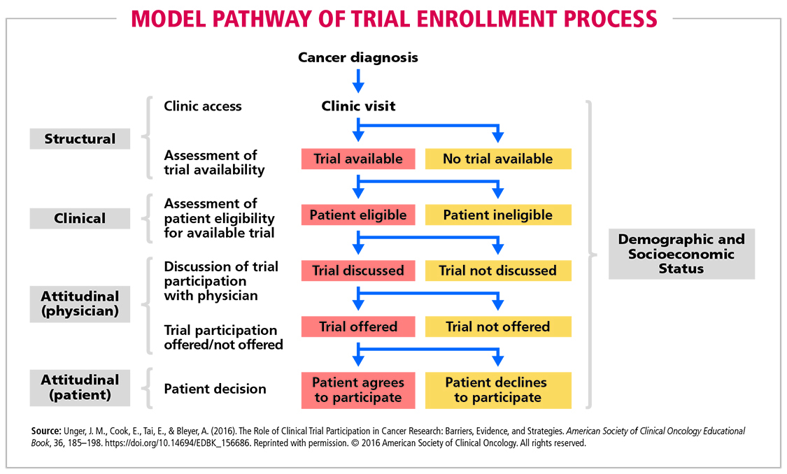 Figure 1. Model Pathway Of Trial Enrollment Process | American Cancer ...